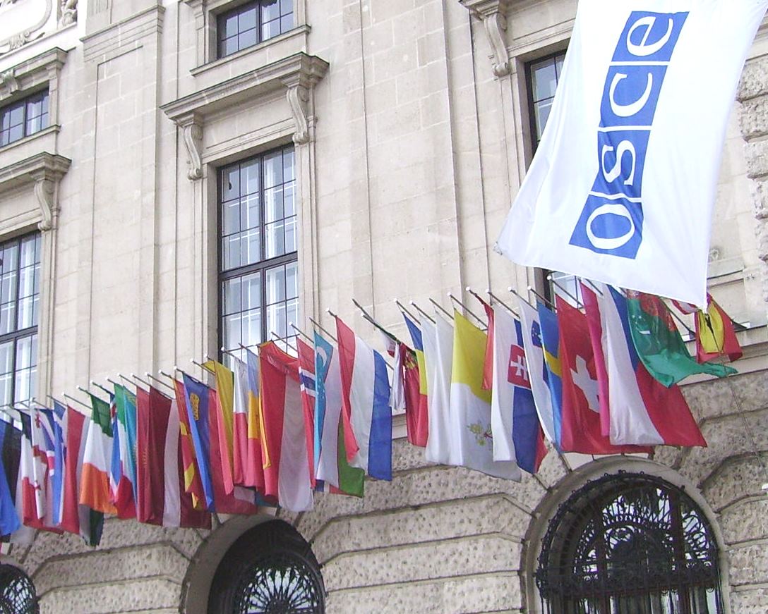 Two statements by Ambassador Khojesta Fana Ebrahimkhel at Permanent Council Meetings of the @OSCE have now been uploaded onto our website. Please visit afghanistan-vienna.org #osce #permanentcouncil @oscepa