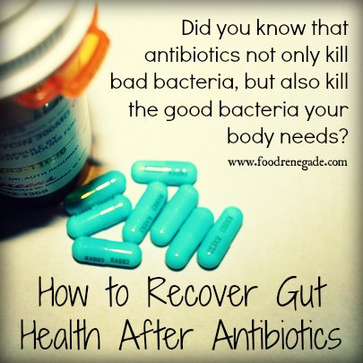 TheGutGeek's tweet photo. How to recover gut health after antibiotics https://t.co/UcXb3dkKbD I totally agree with this combo of bone broth + fermented foods 🤓  Bone broth is full of gut-healing minerals + amino acids including glutamine which feeds the important little cells of our gut wall 👏💩😙 https://t.co/JBJnbYBuRC