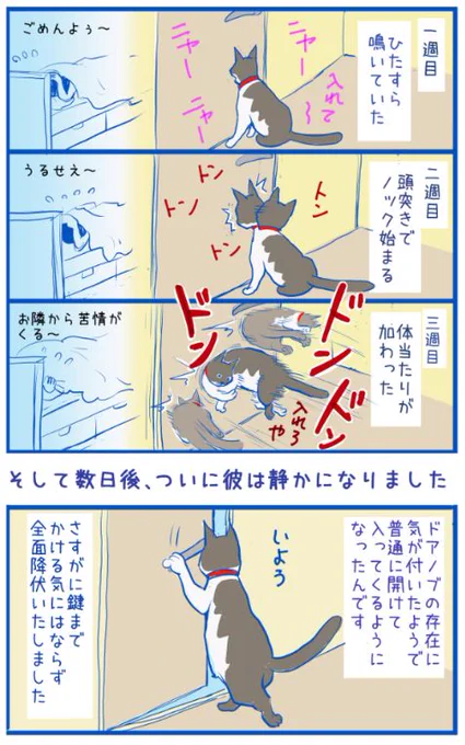 八キロ越えの巨漢であるうちの猫が、最近
私の身体に乗っかって寝るので、圧死する夢で安眠できず、
とうとう彼を寝室から締め出すことを、決意実行した時の記録です。 