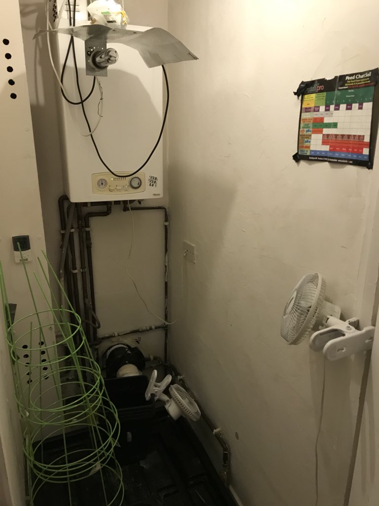#GoodNews - After #SmartWater visits &amp; gathering intel we executed a Misuse of Drugs warrant in #CuthbertRoad early this morning &amp; found drugs being produced! The owner will feel a little ‘green’ at the fact we’ve seized it! #NotOnOurWatch #SayNoToDrugs #Community #YouSaidWeDid