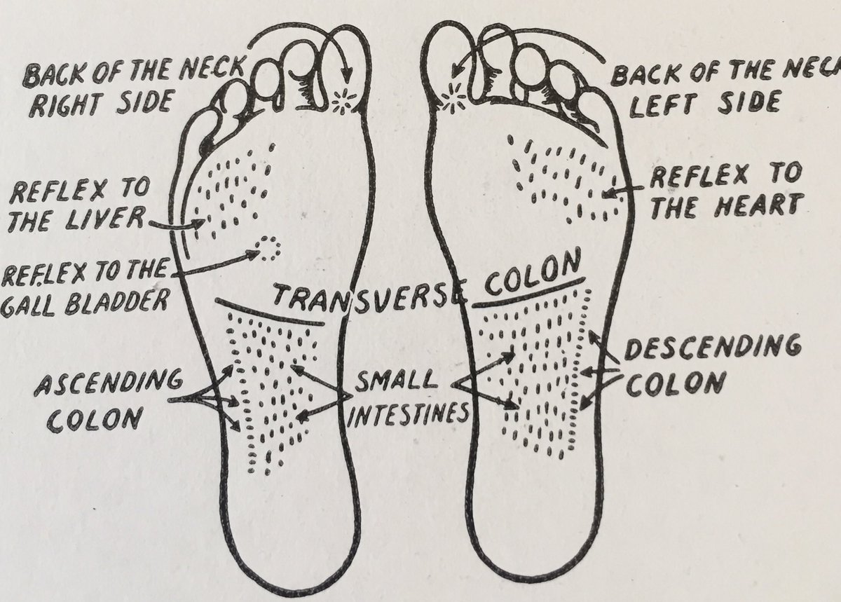 Eunice Ingham Reflexology Chart