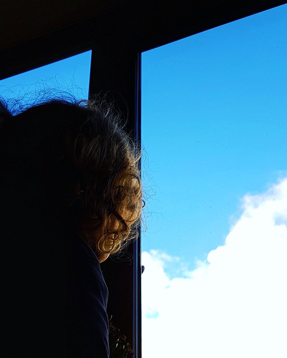 TTomanovics's tweet photo. "Keep looking up... that's the secret of life." #life #keepgoing #motivation #NeverGiveUp https://t.co/nmchWdo7nv