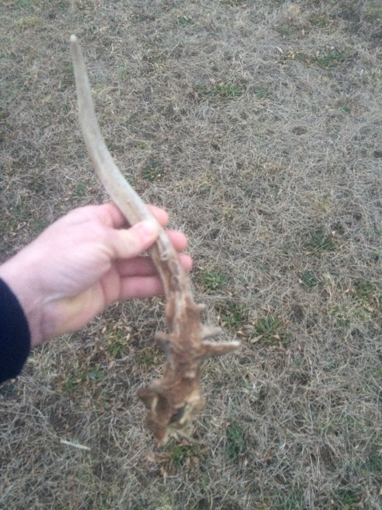 down2kill (@swenomatic) on Twitter photo 