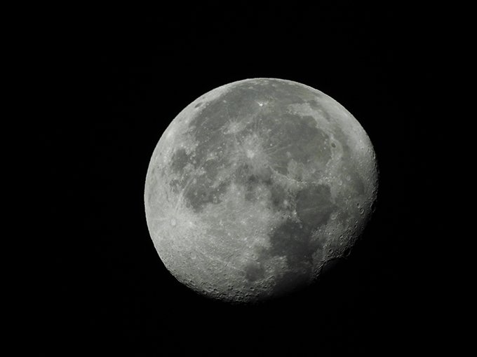 ニコンちゃん on X