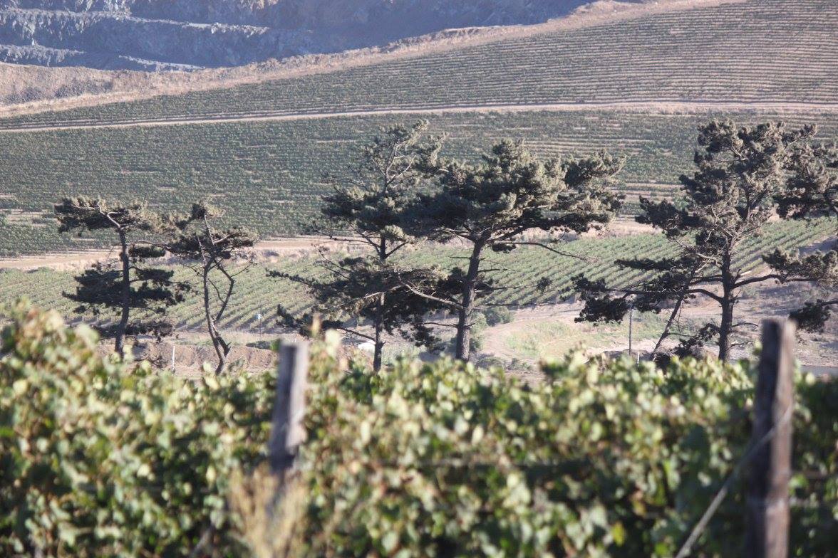 TrailFun tweet media