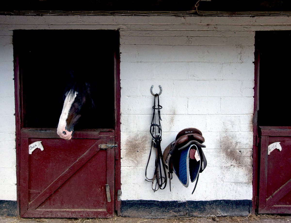 Cork English College Di Twitter Cec Offers Horse Riding English In Our Junior School In The Summer This Takes Place In Hop Island Equestrian Centre Just Outside Cork City Do You