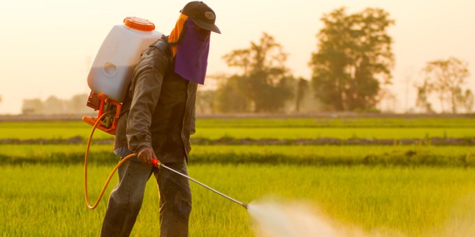 Ver imagen en Twitter