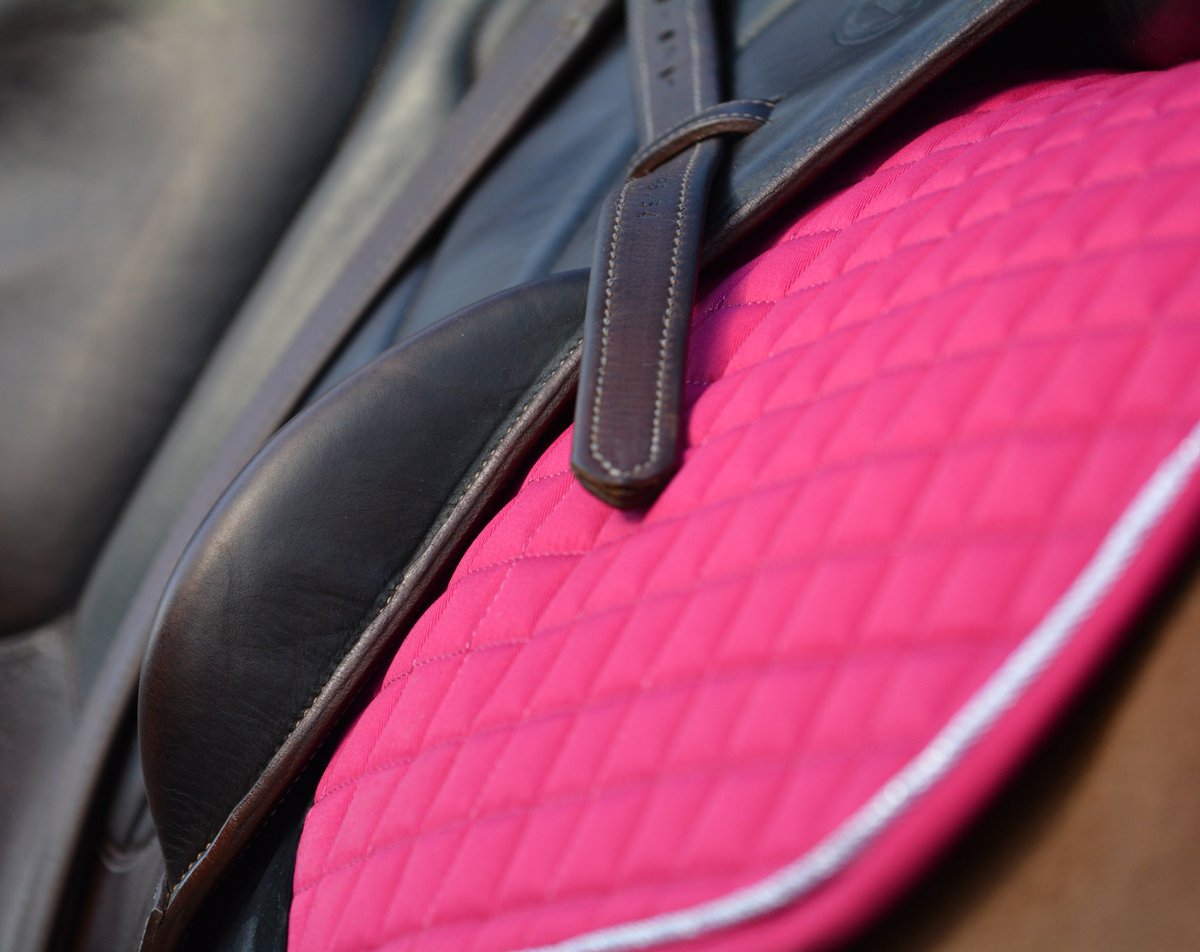 WoofWear1's tweet photo. Sneaky peak at the gorgeous Berry saddle pad which is coming in next week! #whatsyourfavouritecolour #colourfusion #bright #beautiful #veryberry #fruity #equine #woofwear https://t.co/iSDdsUyKmt