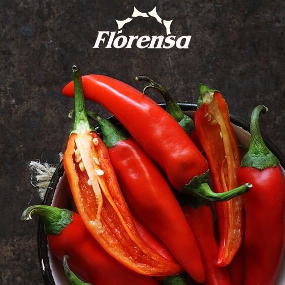 Florensa Argentina tweet media