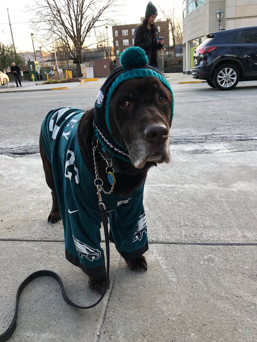 Tucker is Suburban Square’s Number One Fanatic!  He was at Suburban Square Saturday night to attend Snow Glow event and greet the Eagle Victory bus! Stay tuned for more Dogs at Suburban Square and tag us with the hashtag #suburbansquare to show us how you are spending your time.