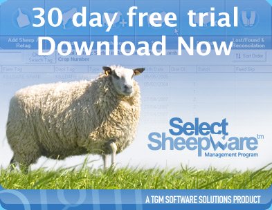 tgmsoftware's tweet image. Start recording your flock this #lambing season with #SelectSheepware from @tgmsoftware . For more info tgmsoftware.com/sheep.htm or a 30 day free trial click here tgmsoftware.com/sheeptrial/she…