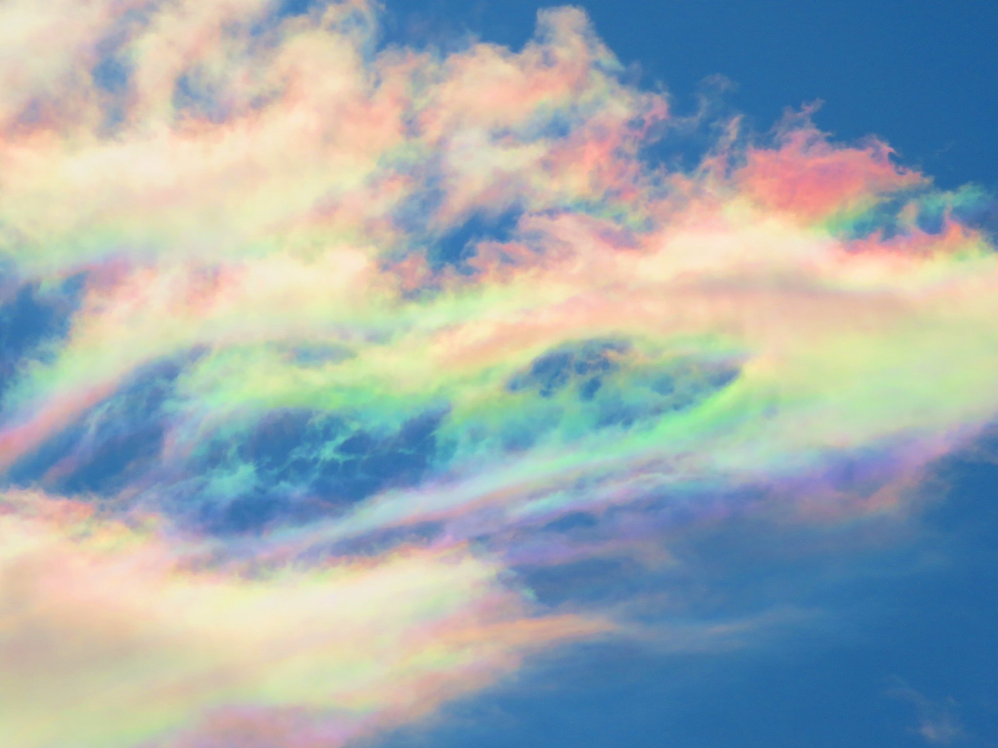 荒木健太郎 彩雲がすごかった 冬の風に乗った積雲系の雲たちが太陽の近くで彩り ダイナミックに空の キャンバスに虹色を描いてた 色も形も常に変化する 一期一会の空の虹色 幻想的な出会いでした T Co C5fe7fkb5d Twitter 荒木健太郎 彩雲がすごかった 冬の風に乗った積雲系の雲たちが太陽の近くで彩り ダイナミックに空の キャンバスに虹色を描いてた 色も形も常に変化する 一期一会の空の虹色 幻想的な出会いでした T Co C5fe7fkb5d Twitter