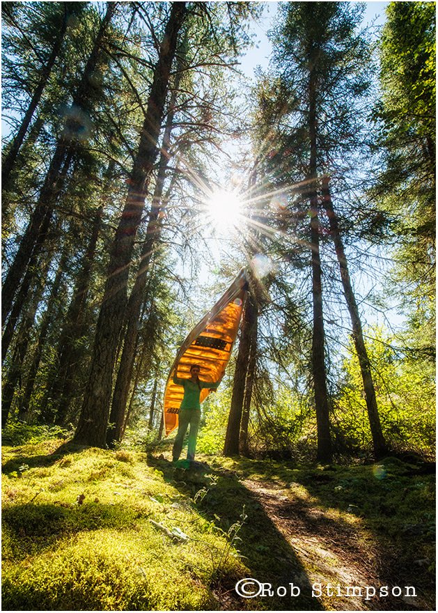 rob_stimpson's tweet photo. Paddle the boreal forest in Ontario-one of the largest undisturbed forests in the world #solitude #silence  @OntarioParksNWZ @OntarioParks @Swift_Canoe @CdnBoreal @NCC_CNC https://t.co/A1Ha3tPM3o