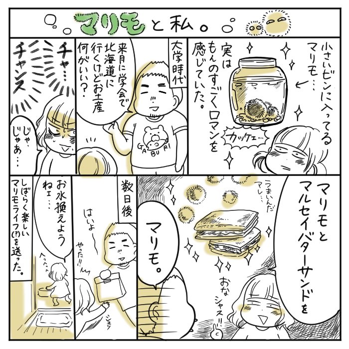 なぜだろう、小瓶に入ったマリモに憧れがありました 