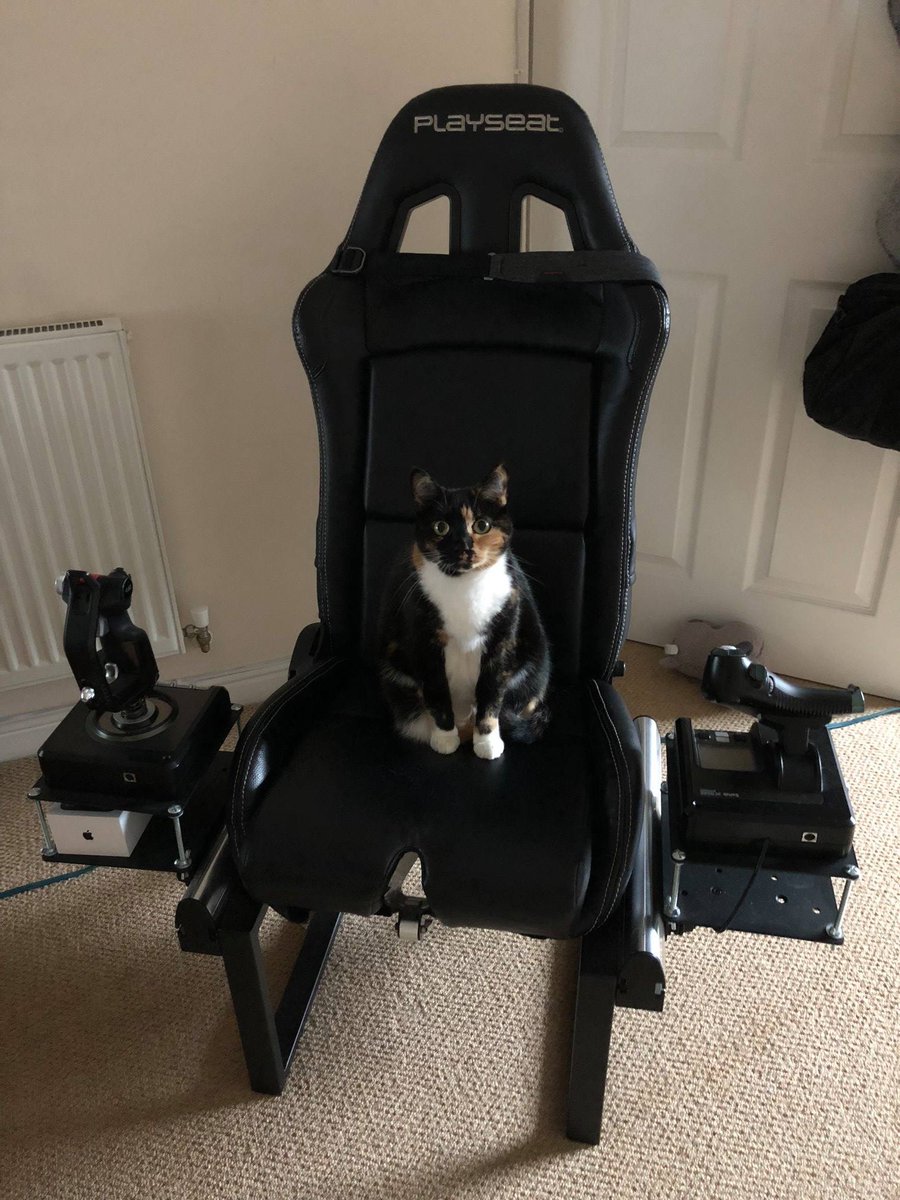 CMDRFuZion's tweet photo. Cmdr Shelley reporting for duty @frontierdev

😼7

#EliteDangerous https://t.co/D65RvVvqZy