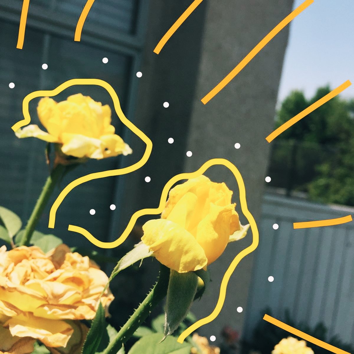 Per_Peewa's tweet photo. 💛 #wall #wallpaper #wallphon #วอล #แจกวอล #วอลเปเปอร์ #วอลโฟน #วอลมือถือ #Bg #vscocam #VSCO https://t.co/9Ek8YfcAzQ