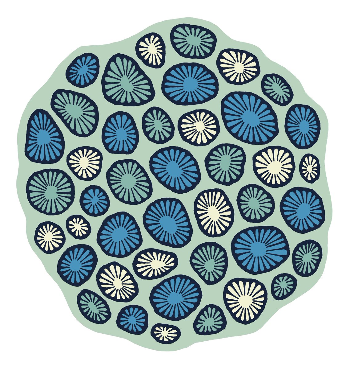 Shaped rugs are a great choice for those who want to do something a little bit different with their decor, and something that I'll be focusing more on in 2018. You can view my current collection of shaped rugs here: ow.ly/mH8L30hYEoU