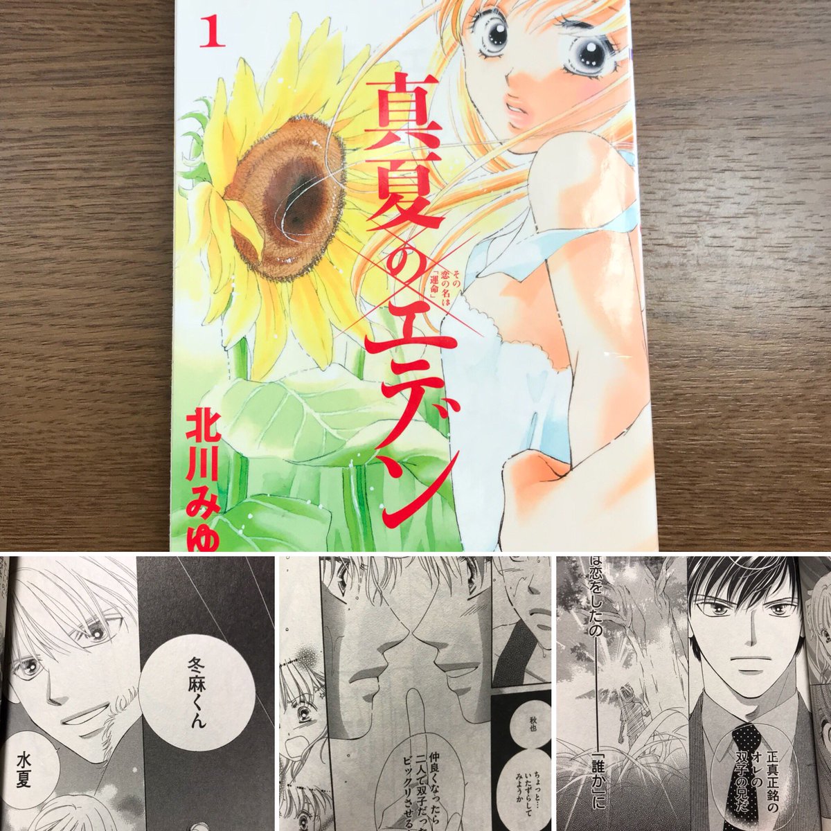 Shimizuho Manga まんが マンガ 漫画 少女漫画 真夏のエデン 北川みゆき先生 6巻完結 もう 東京ジュリエット の頃から好きで作者さん買いしてる先生の1人です 絶対裏切らないい面白さ まだまだあるんでまたツイートします T Co