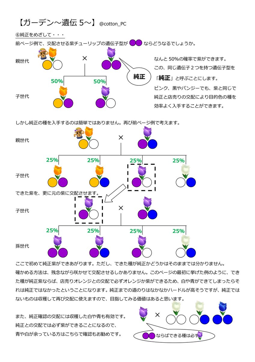 こっとん ポケ森 ガーデン マニアックに思えて実はそうでもない 遺伝 についてまとめました 巷で噂の交配法則です 少し長いのでお時間のあるときにどうぞ 画像6枚になってしまいましたが 残り2枚はスレッドにあります 最後にまとめ有り ご質問