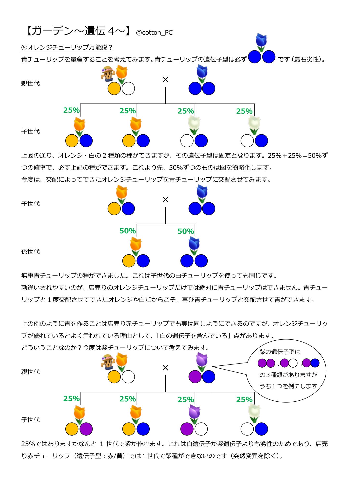 こっとん ポケ森 ガーデン マニアックに思えて実はそうでもない 遺伝 についてまとめました 巷で噂の交配法則です 少し長いのでお時間のあるときにどうぞ 画像6枚になってしまいましたが 残り2枚はスレッドにあります 最後にまとめ有り ご質問