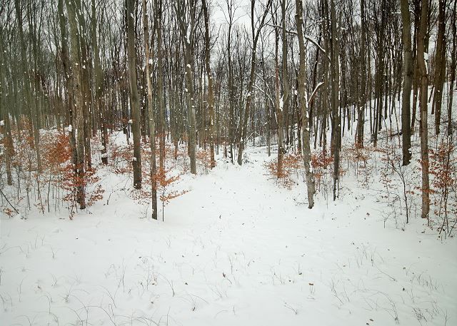VacationNorthMI's tweet photo. It's go time. Get #UpNorth this weekend! Innsbruck Lane is your home base for a #skivacation at @boynemountain https://t.co/tFADrRJGrR #vacation #rental #michigan #adventure https://t.co/cNZaDHpZDe