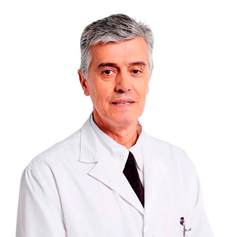 iefertilidad's tweet photo. ¿Cómo es la primera visita al Instituto Europeo de Fertilidad? Pide Cita Gratuita Descubre al IEF @iefertilidad https://t.co/IescRDAAFq https://t.co/upGQO5ruU9