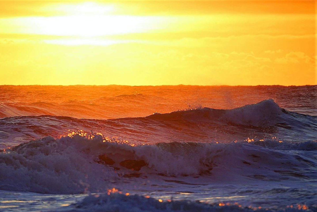 seasolshades's tweet photo. Make it Great !🌴 https://t.co/gmZcResJpg