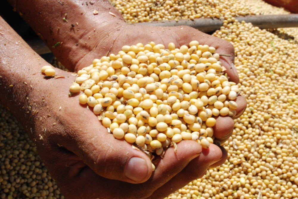 Menigo köper RTRS-certifikat för hållbar sojaproduktion mynewsdesk.com/se/menigo/pres…