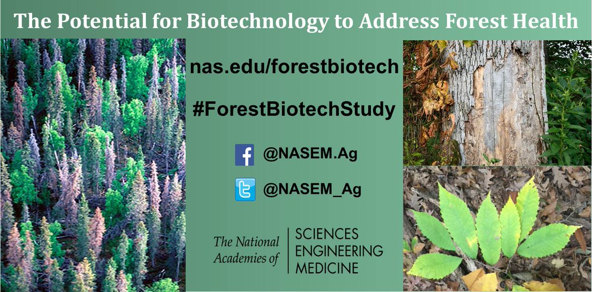NASEM_Ag's tweet photo. Don't miss the next #ForestBiotechStudy webinar on February 12 at 2pm ET featuring presentations from @SallyNAitken on Using Genomic Tools to Understand and Manage Adaptation to #Climate &amp; Jörg Bohlmann on Conifer Defense Systems https://t.co/Ruc4de45Mg https://t.co/wERfJVtnL5