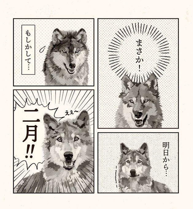 毎年恒例の #2月 #イラスト #オオカミ #狼