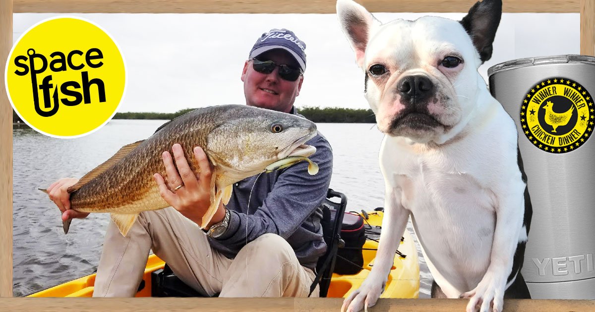 spacefishreport's tweet photo. It's Tuesday and we're back with another great weekly Space Coast fishing report. Find out what's biting in Brevard, win a YETI Rambler, get some "Sunshine," and more!  
https://t.co/G8Q1hohRNt #spacecoastfishing #fishingreports #saltwater https://t.co/55GrHzYtGP