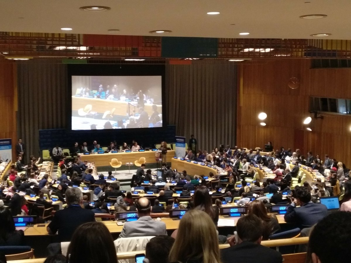UNYANET's tweet photo. Right now starting the ECOSOC Youth Forum! https://t.co/qxpF4GR6zY