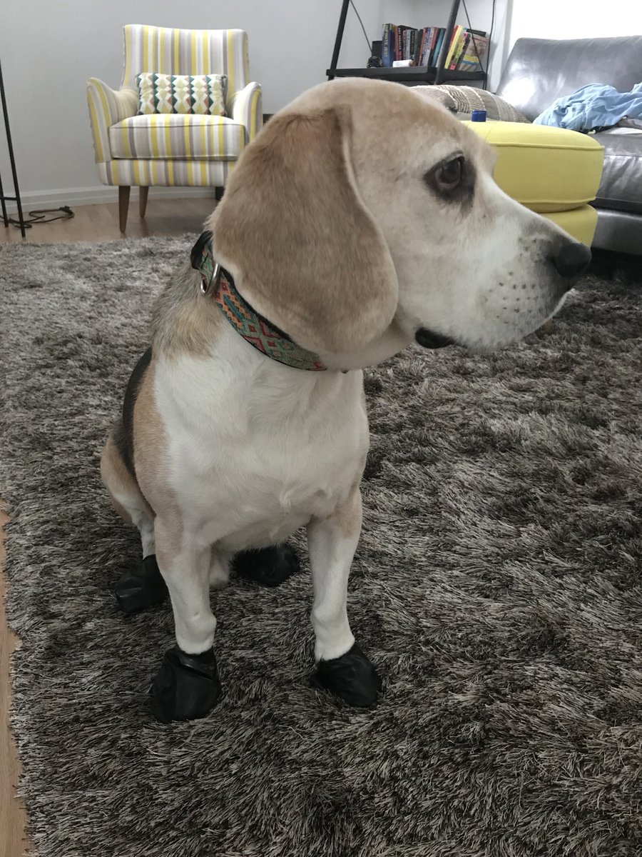 😏 I did just get laughed at by a bunch of NYPD officers cos of my boots #theshame