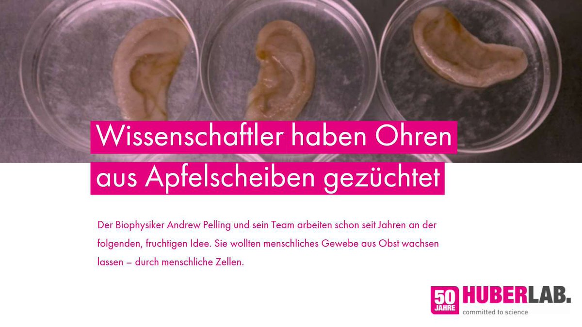 Ähh  … bitte was? Ja, ihr habt richtig gelesen. Was verrückt klingt, könnte  ein wichtiger Grundstein für die zukünftige Medizin sein. Denn Spenderorgane sind Mangelware. 

mehr lesen... bit.ly/Wissenschaflte…