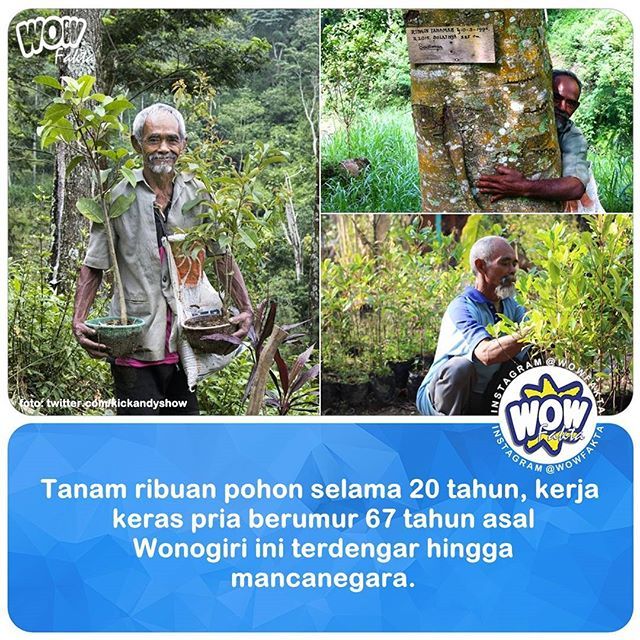 ift.tt/2rUlyoU Lelaki ini jauh dari kata muda, umurnya sudah menginjak 67 tahun, raganya juga tidak tegak dan gagah karena keriput sudah menghiasi wajahnya. Tapi yang membuat kita tidak habis pikir, dia masih kuat naik-turun bukit menelusuri dae…