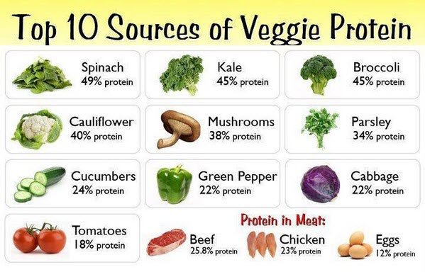 KitMakeOversNE's tweet photo. 5 #kitchen Items every #Vegan #vegetarian should have https://t.co/2tMBfuML4v    👈🥦

#Veganuary #veggie #vegans #veggies #Health #HealthyEating #nutrients #Cooking https://t.co/Ib4W2wr8S6