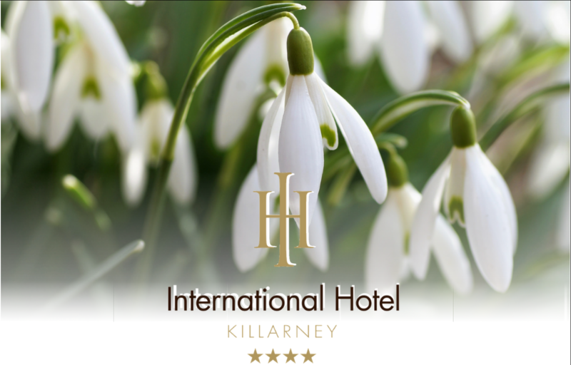 International Hotel tweet media