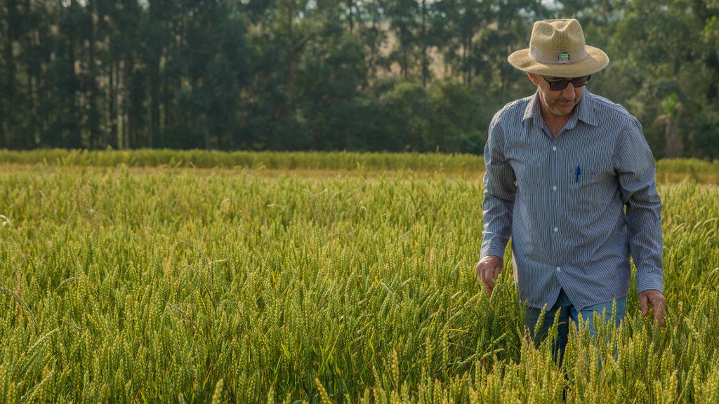 Precocidade no inverno beneficia as culturas de verão revistaplantar.com.br/precocidade-no…