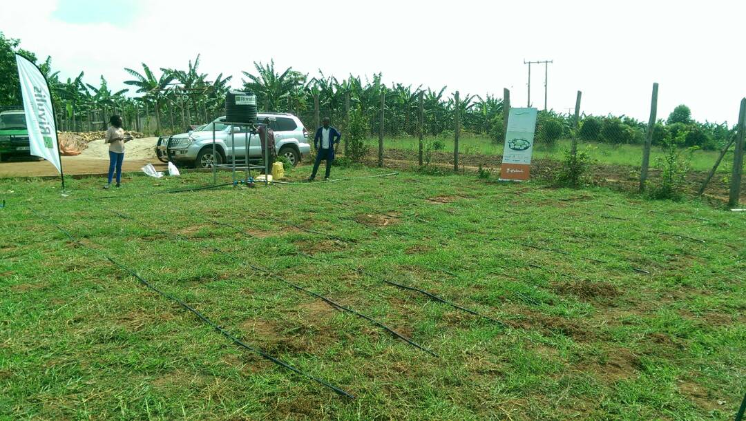 <a href="/mulindwasteven8/">Mulindwa Steven Freeman</a> and <a href="/VyykaaVictoria/">Victoria Nakyagaba</a> showcasing @HollandGreentec  irrigation throughout #Uganda , thanks <a href="/Josephatby/">Josephat Byaruhanga</a>  and <a href="/NLinUganda/">Embassy of the Netherlands in Uganda</a>