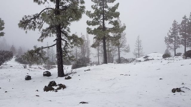 IsseChains_ES's tweet photo. La gota fría deja nieve en las cumbres de Tenerife, Gran Canaria y La Palma. https://t.co/6uT8QGPsji https://t.co/PWBd8ApeE0
