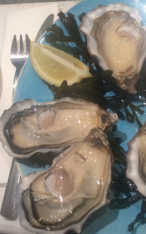 At Huitrerie Regis, the World is Your Oyster dowdfamilytravels.com/2018/01/30/hui…