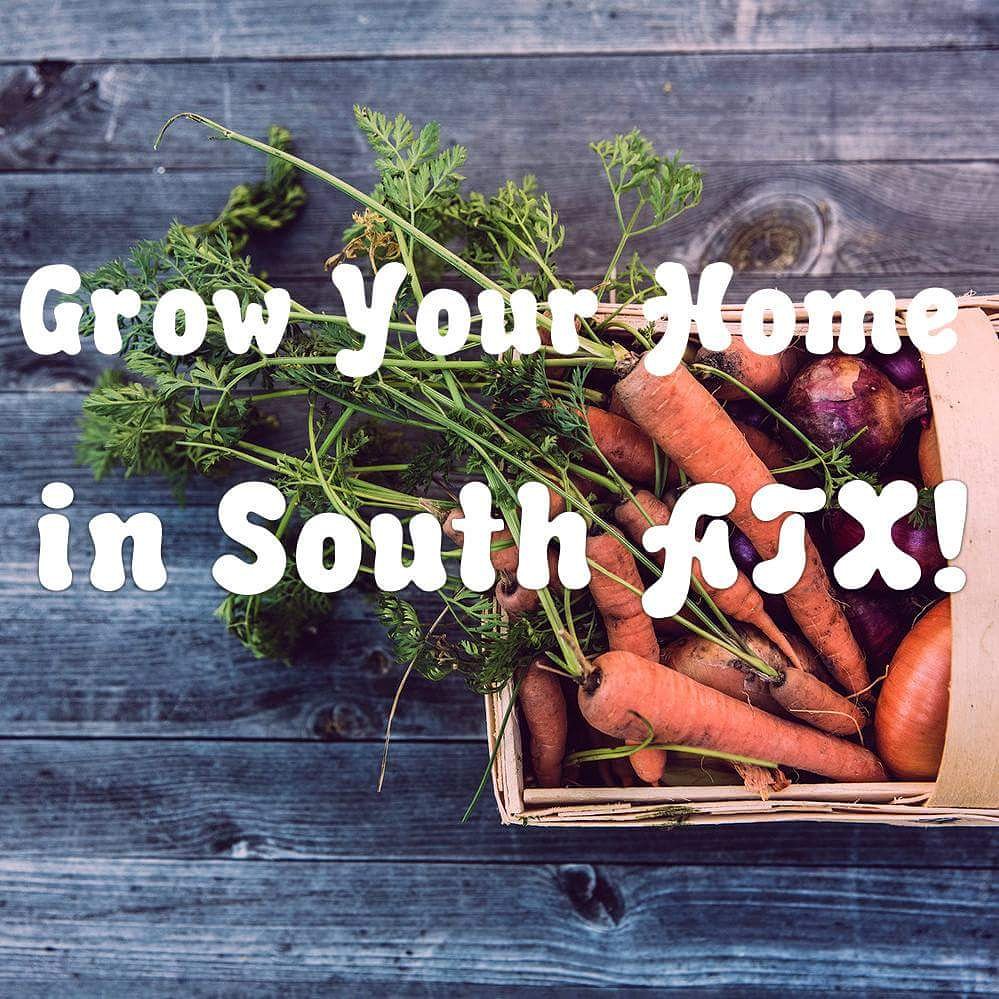 RelocatingATX's tweet image. Be one of the first! South Austin single-level homes from $200Ks. Lovely resort-style pool, green-space  walking distance to farmers' market, retail, restaurants. Best-kept secret oasis 5 miles from downtown! Reserve yours LOI with REFUNDABLE $500 deposit Call-text 512-910-5294