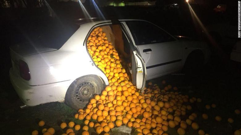 怪しげな車を追跡したスペイン警察 ドアを開けると大量のオレンジが溢れ出してきた 4トンものオレンジを盗んだ事件写真が面白い Togetter 怪しげな車を追跡したスペイン警察 ドアを開けると大量のオレンジが溢れ出してきた 4トンものオレンジを盗んだ事件写真が面白い Togetter