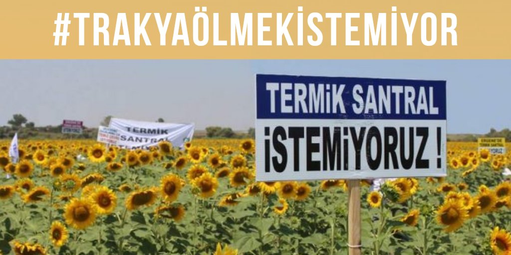 Günebakanlar haykırıyor: #TrakyaÖlmekİstemiyor!
