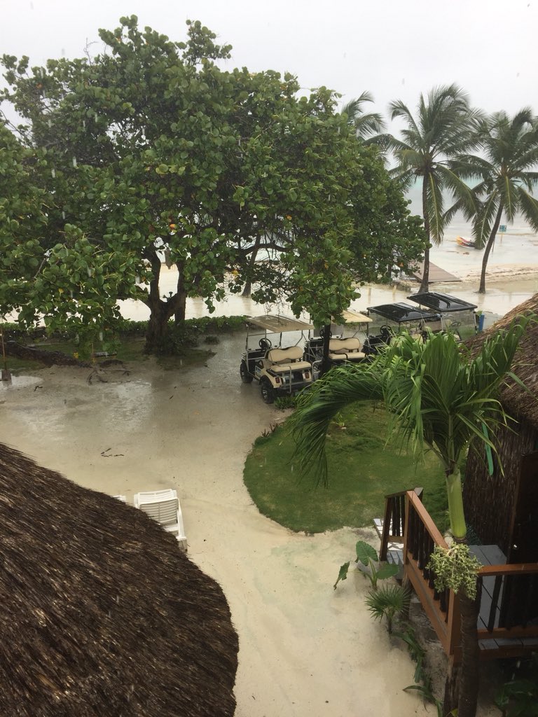 KellyPaterson's tweet photo. @gracle Not today! Pouring with rain. Aye @RealDonad_Trump #climatechange isn’t a real thing! https://t.co/W6yrYrpKzj