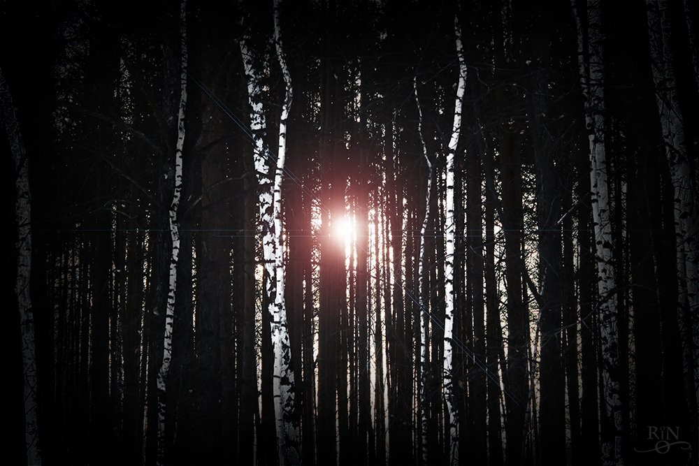 RiNnyRiO's tweet photo. Through the trees
I will find you;
I will heal the ruins left inside you
Cuz I'm still here breathing now...
I'm still here breathing now...
I'm still here breathing now...
until I'm set free.
Go quiet through the trees
#imphotographer 📷 #nature #photography #Russia #LowShoulder https://t.co/LGhVi3hyMM