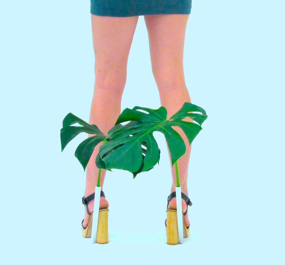 Honevo's tweet photo. HONEVO - O2SHOES / OXYGEN SHOES FOR WALKING, POLLINATING, AS AN ART SCULPTURE &amp; VASE #O2SHOES #CONCEPT #PRODUCT BY #HONEVO #BIOMIMETIC #BIOART #MULTI #BOTANIC #DESIGN https://t.co/jQ7sBYPHHv