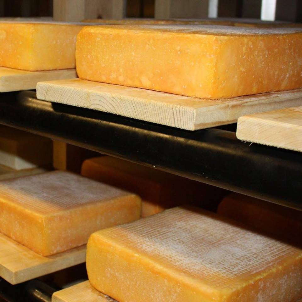 Here’s to aging well. #cheesemaking #cheeseart #nicasiosquare #nicasiovalley #cheese #california #californiacheese #nicasiovalleycheese #organiccheese #organiclife #organicfarm #marincounty #nicasiocheese #californialiving #californialife #cheeselove #cheesetray