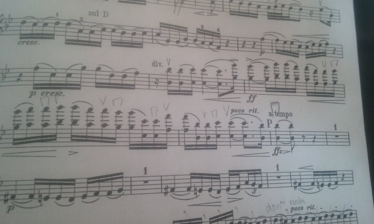 dreya_hope's tweet photo. Oh, the perks of being the "outside" player on a stand!!
#violinist #orchestra #HitTheHighNotes #octaves #Grieg #ClassicalMusic https://t.co/EM4UaQsLcn