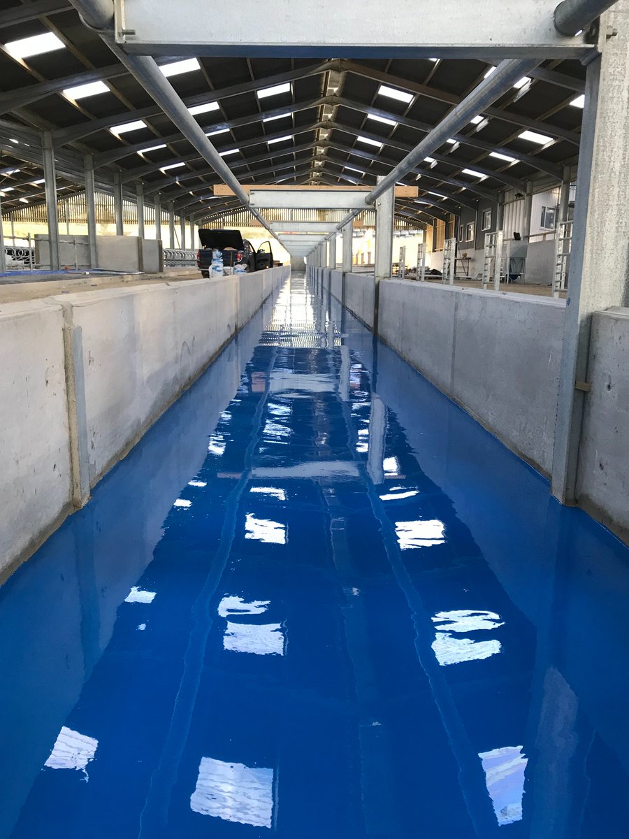 ConceptCowhouse's tweet photo. Looking forward to @Dairy_TechUK next week and seeing some old and new customers. Slat/Concrete grooving. Epoxy coatings. Stand B38. #nomoreslipperyslats #increasedintakes https://t.co/MPYzORYevj
